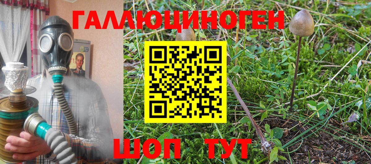 Псилоцибиновые грибы мицелий  Вход с VPN  Электрогорск 